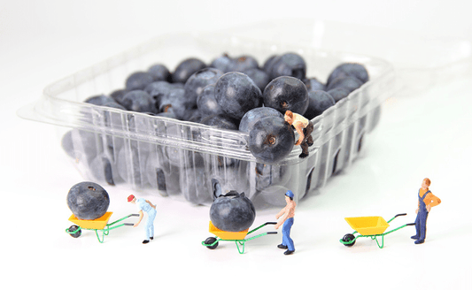 Clamshell Packaging