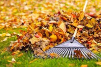 Niagara Region Yard and Leaf Collection
