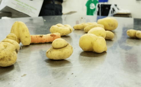 Filling the bellies of Halton Region with fresh, local produce and saving $5M in food waste!