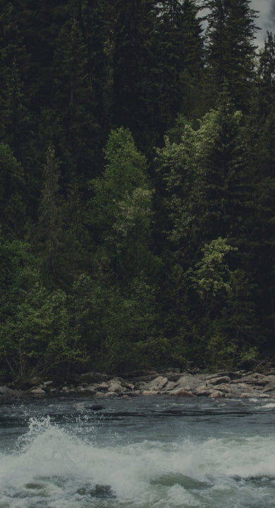 50 Years of Transforming Waste Into Resources