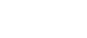 City Logo