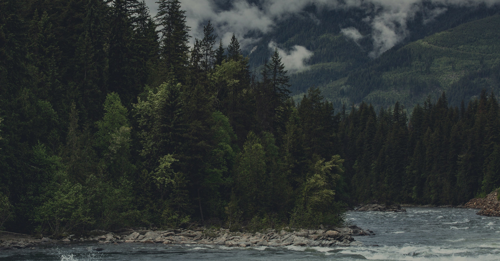 50 Years of Transforming Waste Into Resources